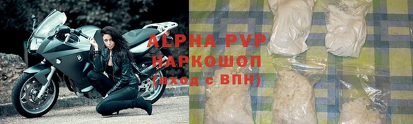 тгк Инта