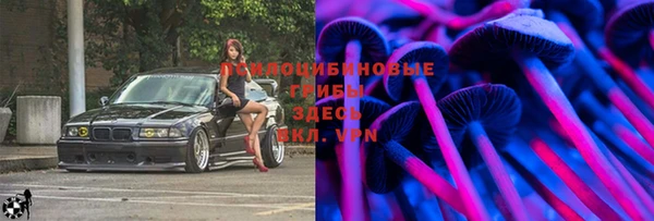 тгк Инта