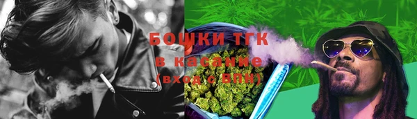 тгк Инта