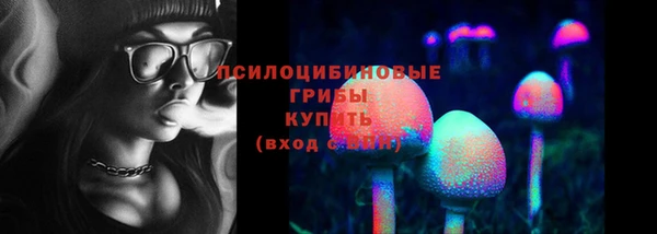 метадон Инсар