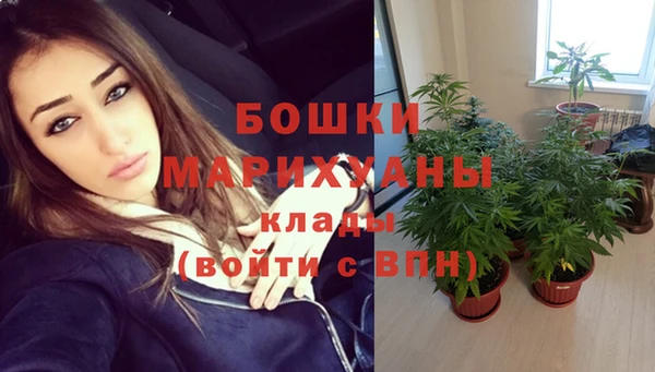 тгк Инта