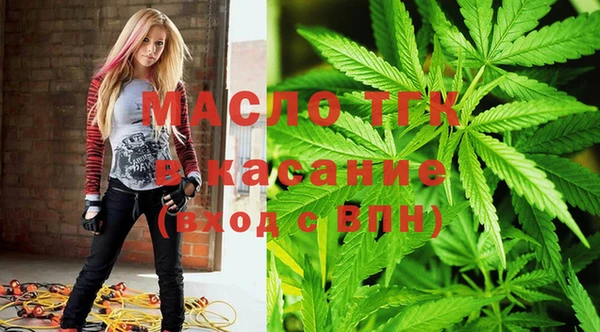 тгк Инта