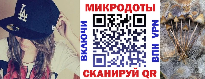 Псилоцибиновые грибы Cubensis  Купить закладки  Белая Калитва 